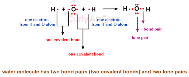 difference between bond pair and lone pair