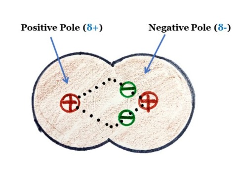polar covalent bond two poles postive negative